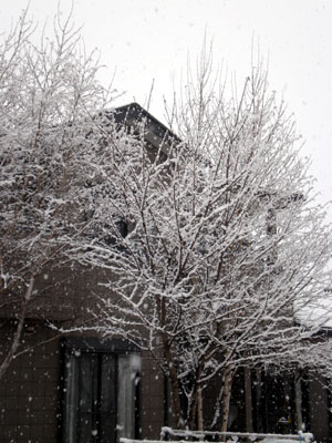 雪