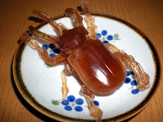 コーカサスオオカブト